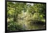 River Wye Lined by Trees in Spring Leaf with Riverside Track, Reflections in Calm Water-Eleanor Scriven-Framed Photographic Print