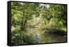 River Wye Lined by Trees in Spring Leaf with Riverside Track, Reflections in Calm Water-Eleanor Scriven-Framed Stretched Canvas