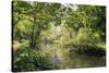 River Wye Lined by Trees in Spring Leaf with Riverside Track, Reflections in Calm Water-Eleanor Scriven-Stretched Canvas