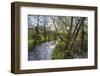 River Wye, Trees and Peak Tor in Spring, Rowsley, Derbyshire, England, United Kingdom, Europe-Eleanor Scriven-Framed Photographic Print