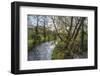 River Wye, Trees and Peak Tor in Spring, Rowsley, Derbyshire, England, United Kingdom, Europe-Eleanor Scriven-Framed Photographic Print