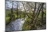 River Wye, Trees and Peak Tor in Spring, Rowsley, Derbyshire, England, United Kingdom, Europe-Eleanor Scriven-Mounted Photographic Print