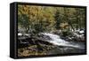 River-null-Framed Stretched Canvas