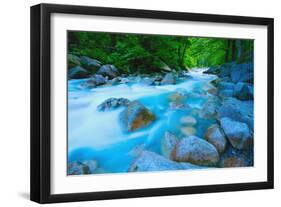 River-null-Framed Photographic Print