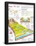 Essential Black