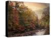 Riverbank Beauty-Jessica Jenney-Stretched Canvas