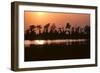 Riverbank of the Mississippi River as the Dusk Sun Sets, 1983 (Photo)-Nathan Benn-Framed Giclee Print