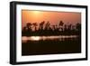 Riverbank of the Mississippi River as the Dusk Sun Sets, 1983 (Photo)-Nathan Benn-Framed Giclee Print