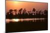 Riverbank of the Mississippi River as the Dusk Sun Sets, 1983 (Photo)-Nathan Benn-Mounted Giclee Print