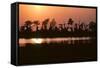 Riverbank of the Mississippi River as the Dusk Sun Sets, 1983 (Photo)-Nathan Benn-Framed Stretched Canvas