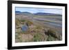 Riverbed Near Doubtful Village-Gabrielle and Michel Therin-Weise-Framed Photographic Print