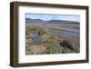 Riverbed Near Doubtful Village-Gabrielle and Michel Therin-Weise-Framed Photographic Print