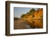 Riverbed, Zambezi National Park-Michele Westmorland-Framed Photographic Print