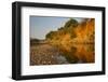 Riverbed, Zambezi National Park-Michele Westmorland-Framed Photographic Print