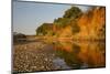 Riverbed, Zambezi National Park-Michele Westmorland-Mounted Photographic Print