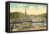 Riverboat Landing at Coney, Cincinnati, Ohio-null-Framed Stretched Canvas