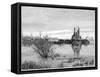 Riverboat on the Red River, Canada, 19th Century-Taylor-Framed Stretched Canvas