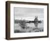 Riverboat on the Red River, Canada, 19th Century-Taylor-Framed Giclee Print