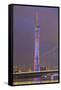 Riverfront View of 600 Meter High Canton Tower, Guangzhou, China-Stuart Westmorland-Framed Stretched Canvas