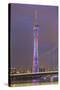 Riverfront View of 600 Meter High Canton Tower, Guangzhou, China-Stuart Westmorland-Stretched Canvas