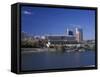 Riverfront View of Downtown, Knoxville, Tennessee-Walter Bibikow-Framed Stretched Canvas