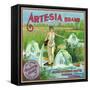 Riverside, California, Artesia Brand Citrus Label-Lantern Press-Framed Stretched Canvas