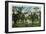 Riverside, California - Mission Inn, View of an Old Ox Carita in the Courtyard, c.1921-Lantern Press-Framed Art Print