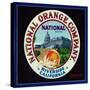 Riverside, California, National Brand Citrus Label-Lantern Press-Stretched Canvas