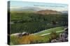 Riverside, California - Panoramic View of Orange Groves, c.1915-Lantern Press-Stretched Canvas