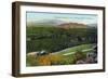 Riverside, California - Panoramic View of Orange Groves, c.1915-Lantern Press-Framed Art Print