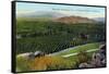 Riverside, California - Panoramic View of Orange Groves, c.1915-Lantern Press-Framed Stretched Canvas