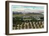 Riverside, California - Panoramic View of the City from Smiley Heights, c.1921-Lantern Press-Framed Art Print