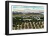 Riverside, California - Panoramic View of the City from Smiley Heights, c.1921-Lantern Press-Framed Art Print