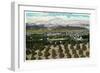 Riverside, California - Panoramic View of the City from Smiley Heights, c.1921-Lantern Press-Framed Art Print