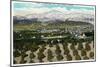 Riverside, California - Panoramic View of the City from Smiley Heights, c.1921-Lantern Press-Mounted Art Print