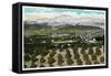 Riverside, California - Panoramic View of the City from Smiley Heights, c.1921-Lantern Press-Framed Stretched Canvas