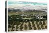 Riverside, California - Panoramic View of the City from Smiley Heights, c.1921-Lantern Press-Stretched Canvas