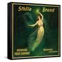 Riverside, California, Stella Brand Citrus Label-Lantern Press-Framed Stretched Canvas