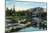 Riverside, California - View of Fairmount Park, c.1915-Lantern Press-Mounted Art Print