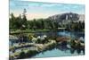 Riverside, California - View of Fairmount Park, c.1915-Lantern Press-Mounted Art Print