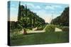 Riverside, California - View of Victoria Avenue, c.1915-Lantern Press-Stretched Canvas