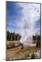 Riverside Geyser, Upper Geyser Basin Yellowstone National Park, Wyoming-Michael DeFreitas-Mounted Photographic Print