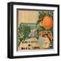 Riverside Oranges - Riverside, California - Citrus Crate Label-Lantern Press-Framed Art Print