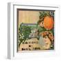 Riverside Oranges - Riverside, California - Citrus Crate Label-Lantern Press-Framed Art Print