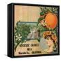 Riverside Oranges - Riverside, California - Citrus Crate Label-Lantern Press-Framed Stretched Canvas