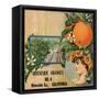 Riverside Oranges - Riverside, California - Citrus Crate Label-Lantern Press-Framed Stretched Canvas