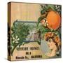 Riverside Oranges - Riverside, California - Citrus Crate Label-Lantern Press-Stretched Canvas