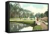 Riverside Park, Jacksonville, Florida-null-Framed Stretched Canvas