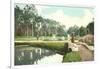 Riverside Park, Jacksonville, Florida-null-Framed Art Print