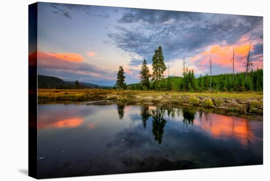 Riverside Sunset Reflections, Gibbon River, Yellowstone National Park-Vincent James-Stretched Canvas